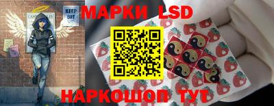 стафф Бердск