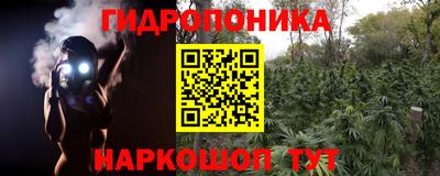 спайс Аша