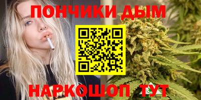 стафф Бердск