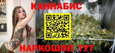 стафф Бердск