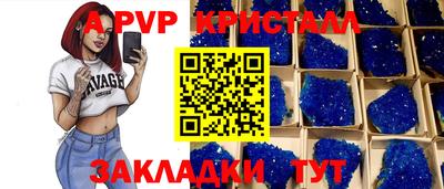 стафф Бердск