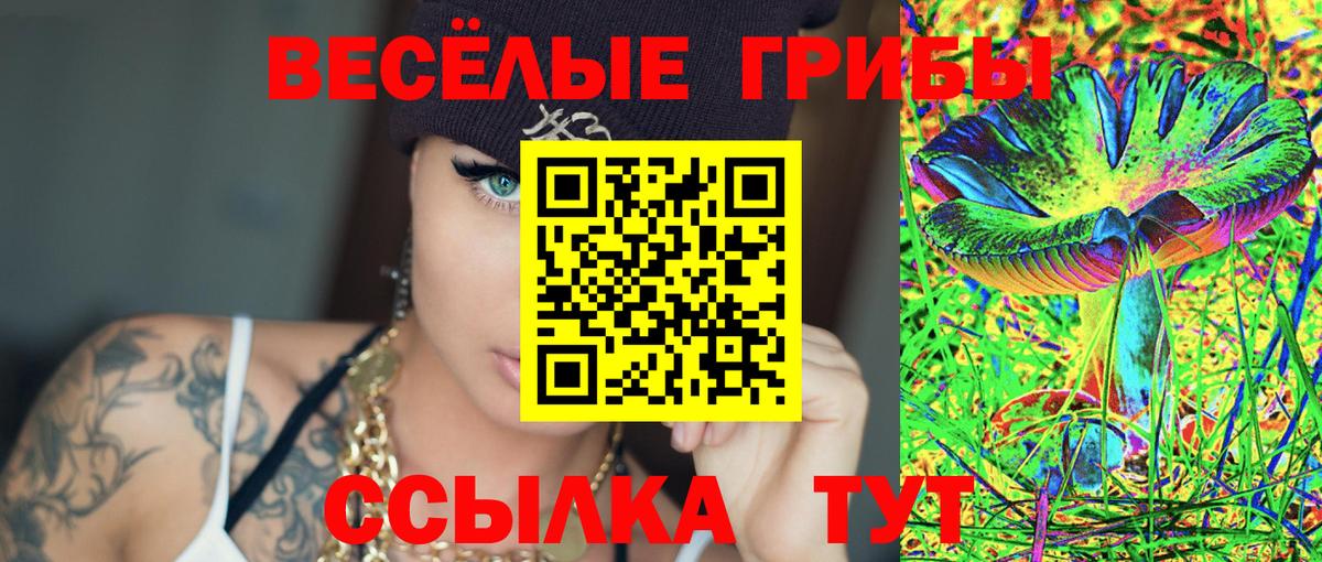 Псилоцибиновые грибы прущие грибы  Вход с VPN  Губкин 