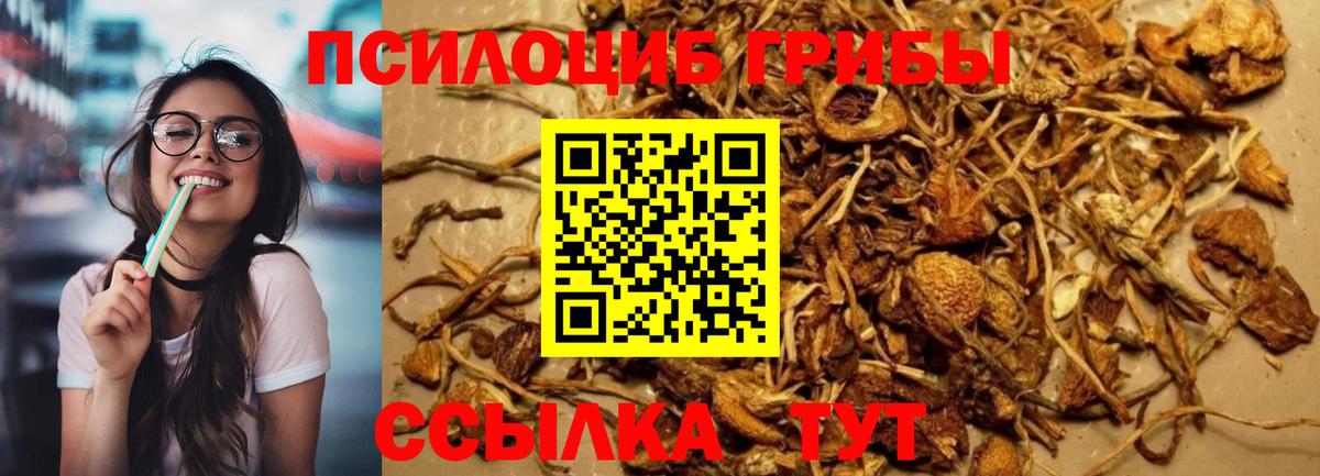 Псилоцибиновые грибы мухоморы Губкин